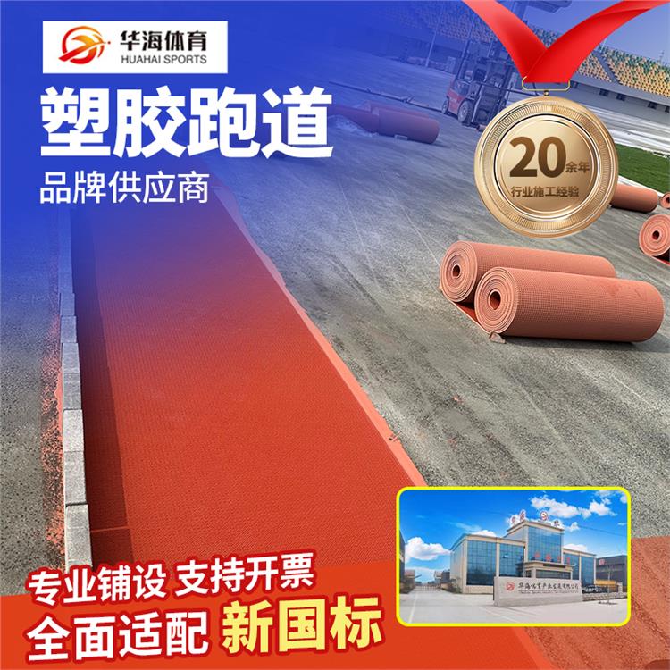 三亚市半预制跑道半预制卷材 - 方案